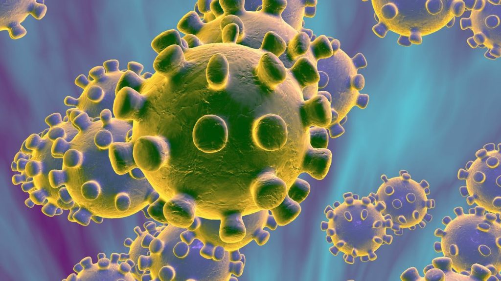 AEPUQ en tiempo de Coronavirus